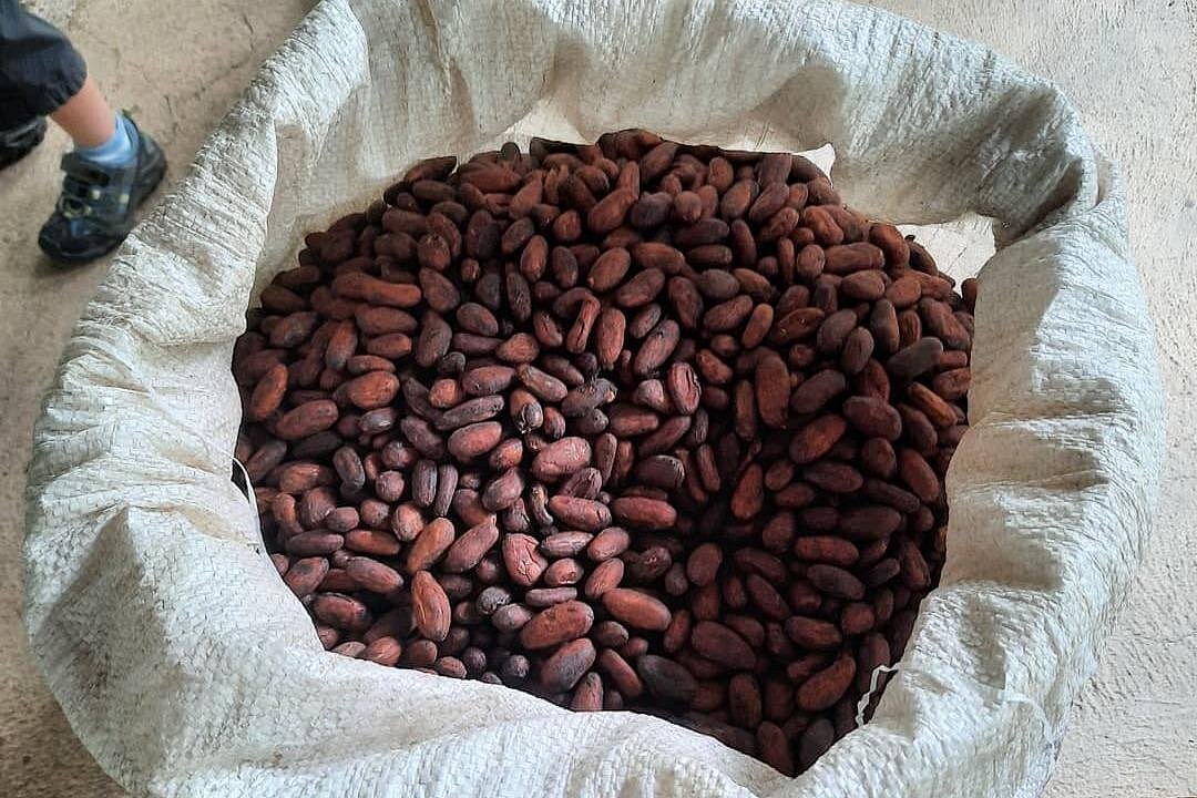 Don Olivo Chocolate Tour gallery 3