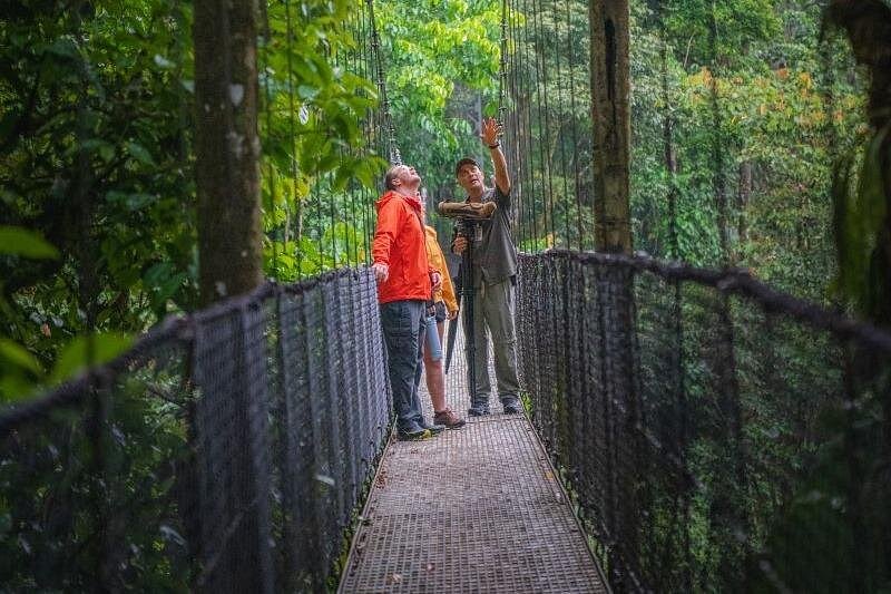 Mistico Hanging Bridges gallery 3