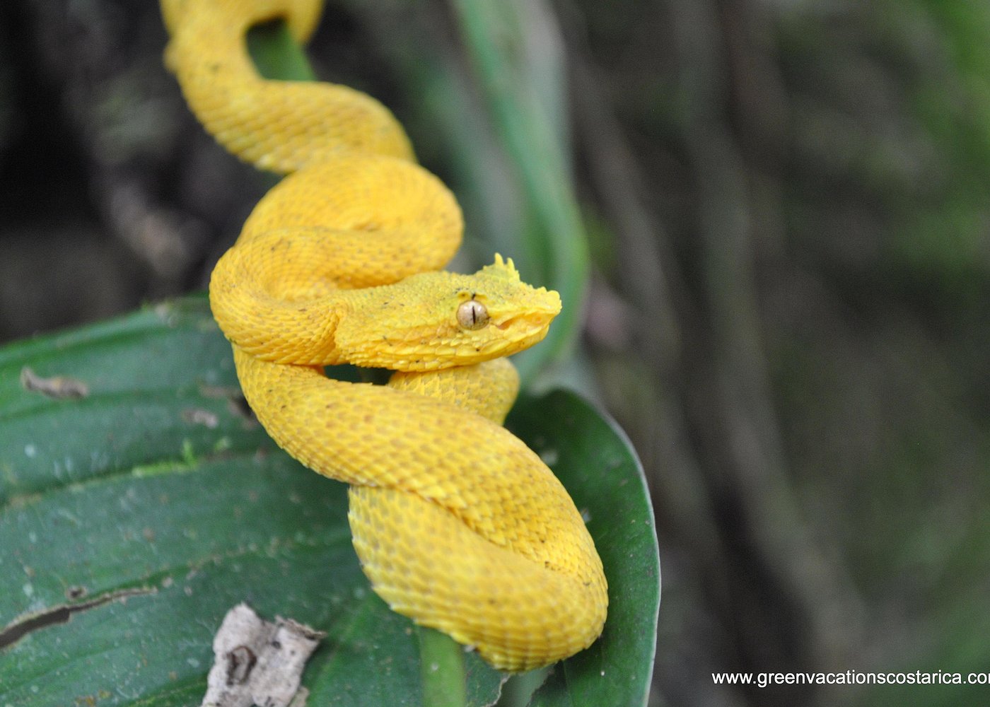 Peñas Blancas Safari Float gallery 1