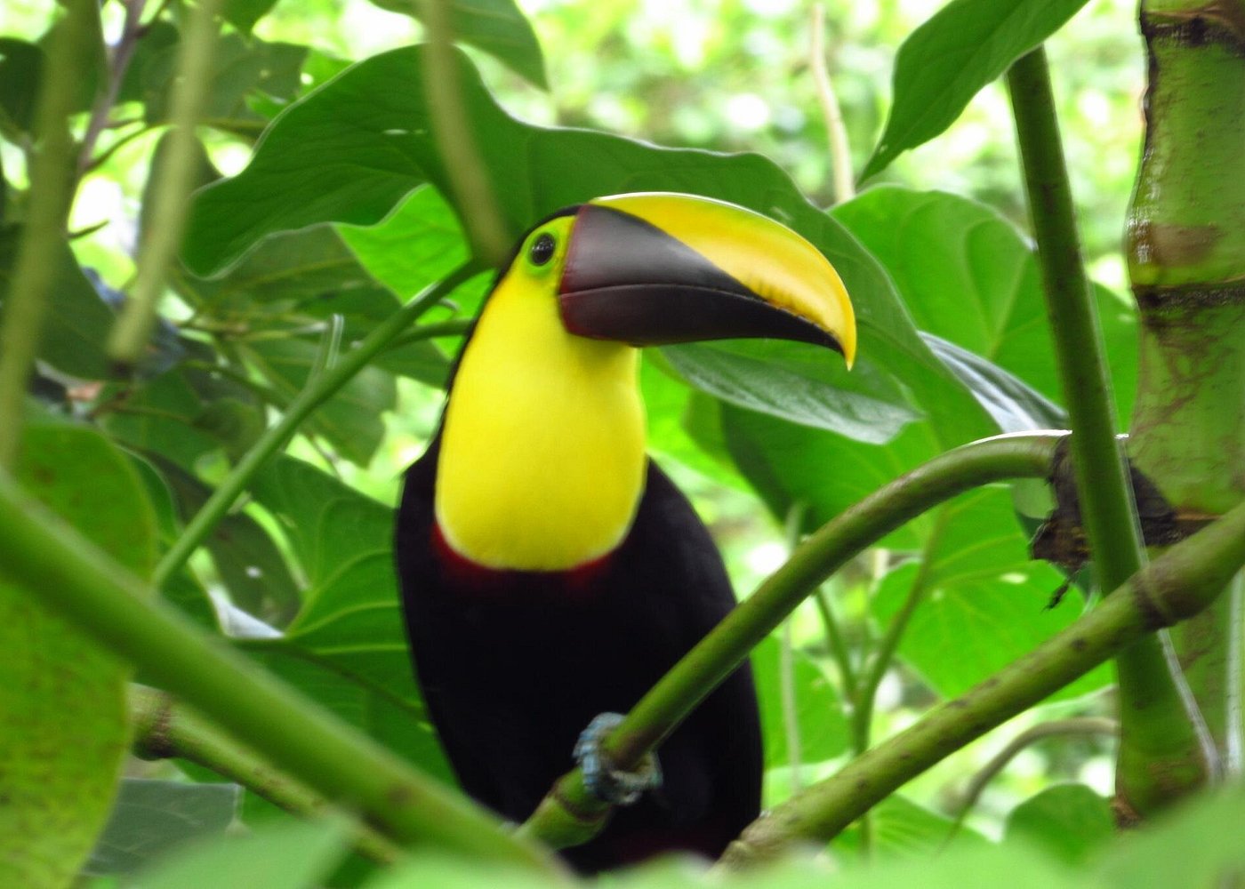 Sloth Territory gallery 4